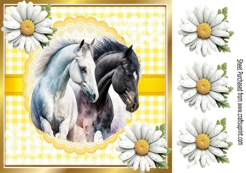 Pretty White Daisies & Yellow Gingham 8x8 With Horses (Two)
