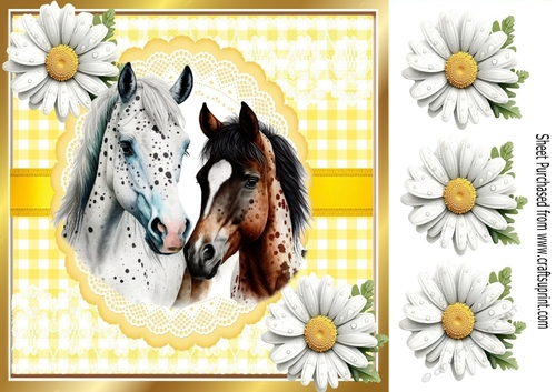 Pretty White Daisies & Yellow Gingham 8x8 With Horses (Three)