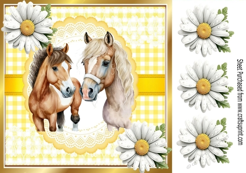 Pretty White Daisies & Yellow Gingham 8x8 With Horses (Four)