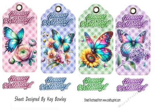 4 Coloured Birthday Gingham Tags/Toppers With Butterflies & Flowers