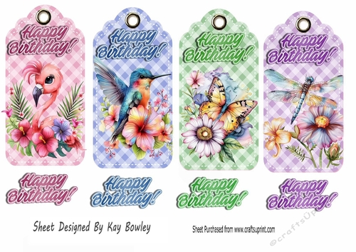 4 Coloured Birthday Gingham Tags/Toppers With Birds/Dragonflies