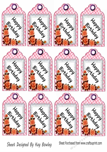 12 Peach Gingham HAPPY BIRTHDAY Tags With Roses FOUR