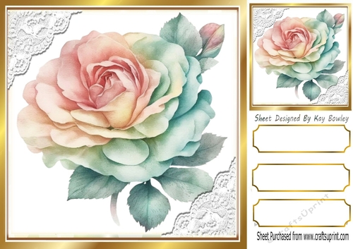 Pretty Pastel Rose With Lace In Gold Frame 8x8
