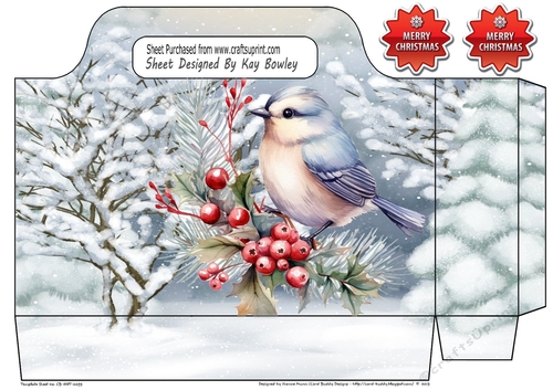 Pretty Tote Gift Bag With Snow Scene  & Bluebird (One)