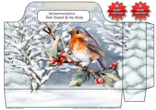 Pretty Tote Gift Bag With Snow Scene  & Robin (Two)