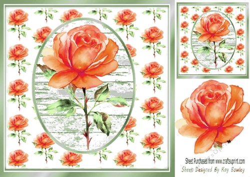 Pretty Orange Stem Rose On Topper 8x8