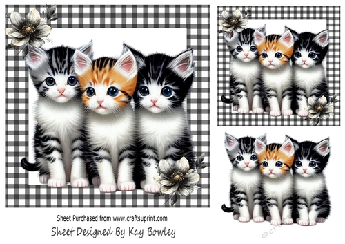 Cute Kittens With Flowers Black Gingham 7x7 (One)