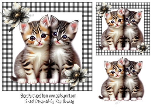 Cute Kittens With Flowers Black Gingham 7x7 (Two)