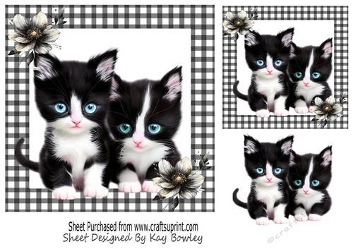 Cute Kittens With Flowers Black Gingham 7x7 (Four)