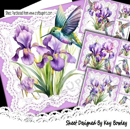  4 Pretty Hummingbirds & Purple Iris On Lace Card Fronts  8X8 Mini Kit