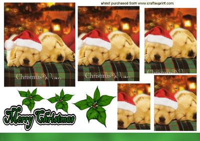 2 Little Pooches One with Santa Hat On