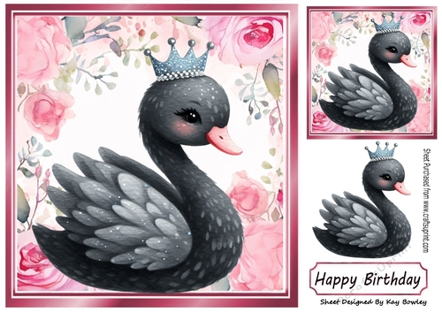 Pretty Frame Of Pink Roses With A Black Princess Swan 8x8 Card