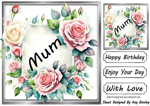 Pretty Pink & Cream Roses In Silver Frame 8x8 for MUM 