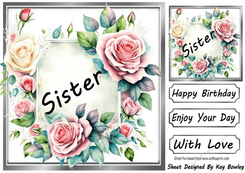 Pretty Pink & Cream Roses In Silver Frame 8x8 for SISTER