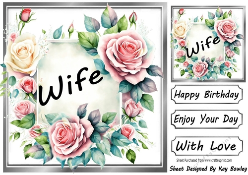 Pretty Pink & Cream Roses In Silver Frame 8x8 for WIFE