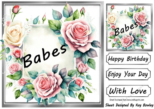 Pretty Pink & Cream Roses In Silver Frame 8x8 for BABES