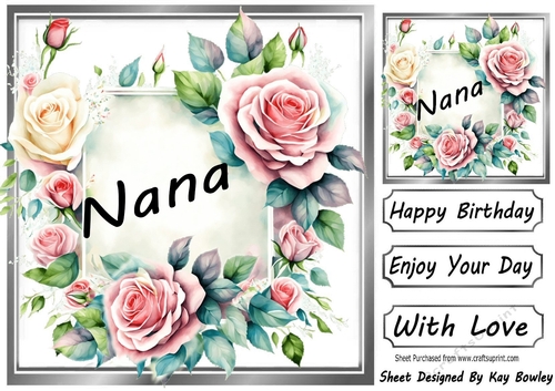 Pretty Pink & Cream Roses In Silver Frame 8x8 for NANA