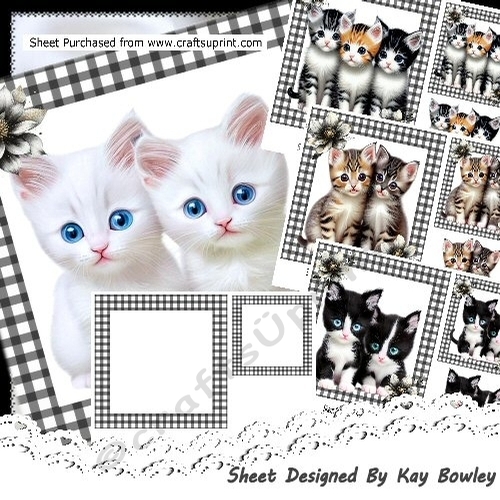 4 Cute Cuddly Kittens In Black/White Gingham Framesl 7x7 Card Fronts Mini Kit