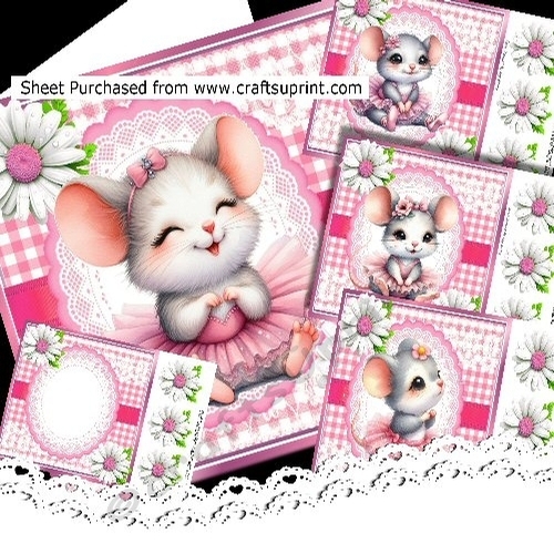 4 Gorgeous Little Mice In Tutus Pink Gingham Frames 8x8 Mini Kit