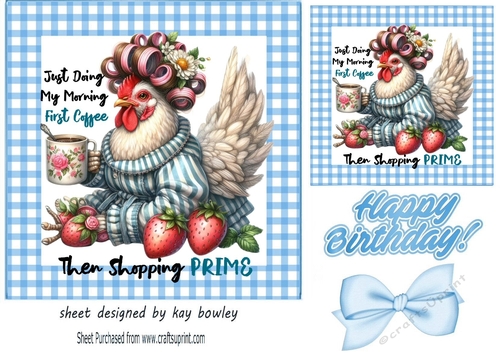 Blue Gingham 7X7 Card Front With Cheeky Chicken (TWO)