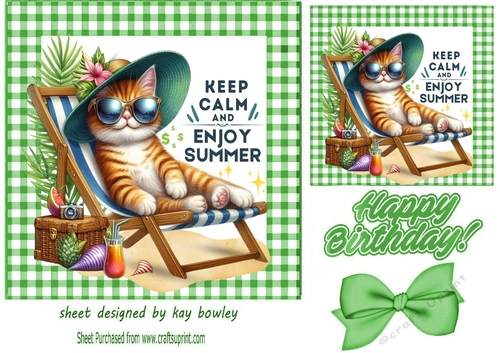 Green Gingham 7X7 Card Front With Cat Chilin In The Summer