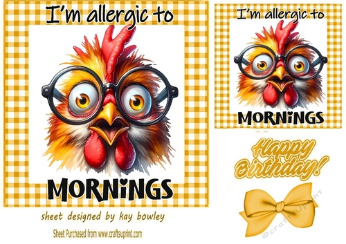 Gold Gingham 7X7 Card With Grumpy Chicken (TWO)