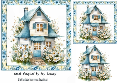 Pretty Blue Cottage With Daisies In Floral 7x7 Frame (TWO)