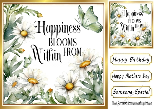 Happiness Blooms With Daisies And Sentiment 8x8 (THREE)