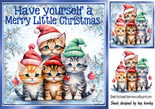 Cute Kittens In Santa Hats iN 8X8 Snowflake Christmas Frame