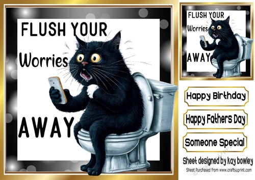 FLUSH YOUR WORRIES AWAY Cat sat on toilet With Mobile Phone  8x8