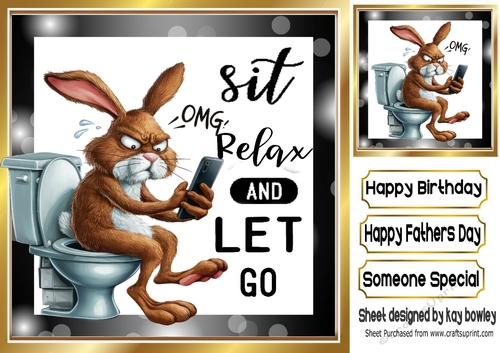 RELAX, SIT & LET GO Rabbit Sat On A Toilet With Phone 8x8