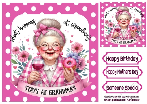  GRANDMA WITH WINE Woman With Caption In Pink Polkadot 8X8 Frame