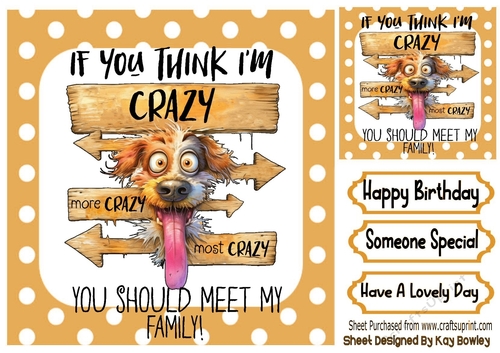 CRAZY DOG With Caption In Gold Spot 8x8 Frame