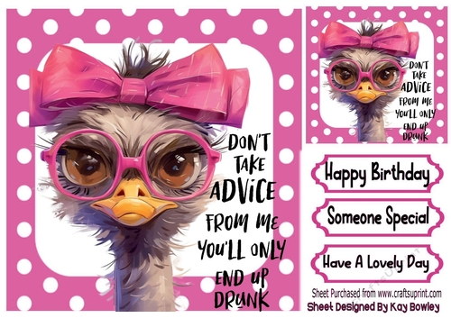 OSTRICH ATTITUDE  With Caption In Pink Spot 8x8 Frame