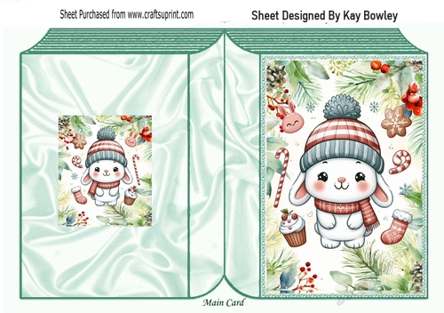 Winter Rabbit In Christmas Festive Folded Book (ONE)