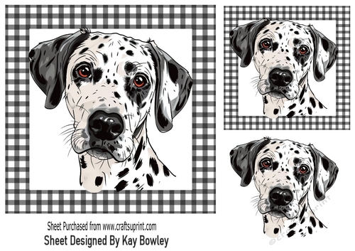 Lovely Dalmation In Black/White Gingham 7x7 Frame (ONE)
