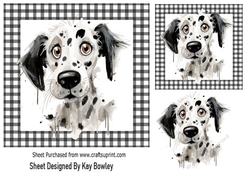 Lovely Dalmation In Black/White Gingham 7x7 Frame (TWO)