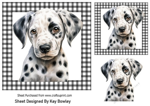Lovely Dalmation In Black/White Gingham 7x7 Frame (THREE)