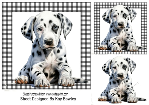 Lovely Dalmation Puppy In Black/White Gingham 7x7 Frame (FOUR)