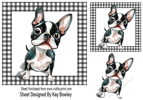 French Bulldog Puppy In Black/White Gingham 7x7 Frame 