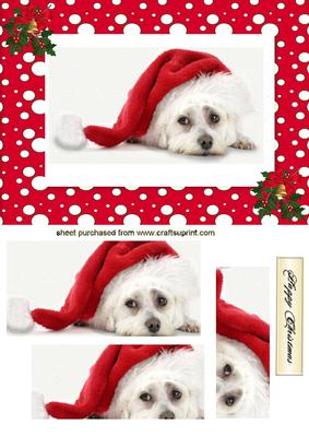 Cute Little Westie Puppy with Santa Hat on Pyramids