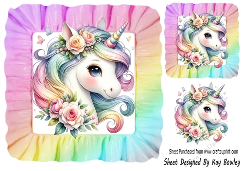 Pretty Rainbow Unicorn In 8X8 Rainbow Frill Frame (ONE)
