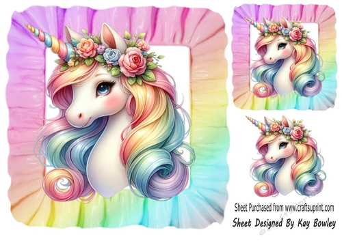 Pretty Rainbow Unicorn In 8X8 Rainbow Frill Frame (TWO)