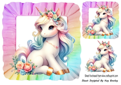 Pretty Rainbow Unicorn In 8X8 Rainbow Frill Frame (THREE)