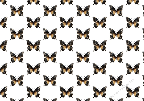 Black/Gold Butterflies Backing Paper