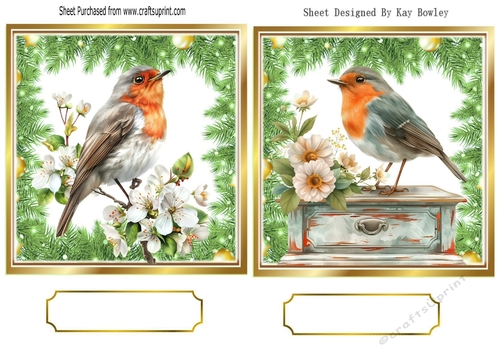 Two Lovely Robins, Toppers With Ferns & Flowers (TWO)