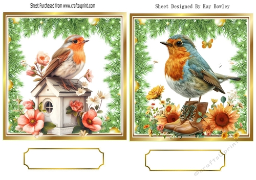 Two Lovely Robins, Toppers With Ferns & Flowers (THREE)