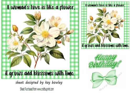 Pretty Vintage Flowers With Quote 7x7 Green Gingham Frame (FOUR)