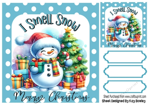 Lovely Snowman With Quote 8x8 Blue Polkadot (ONE)