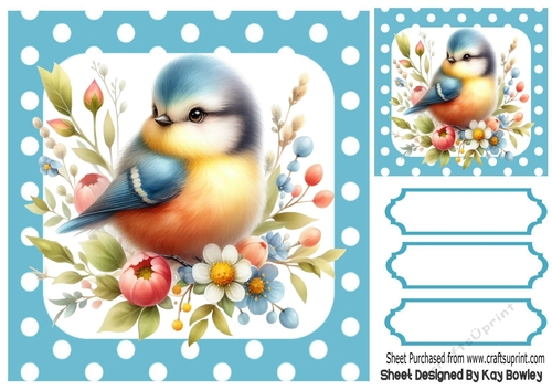 Pretty Bird in Polkadot 8X8 Frame (ONE)